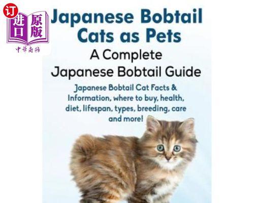 日本短尾猫的饲养方法（宠物爱好者必看！打造舒适家园，让短尾猫幸福成长）