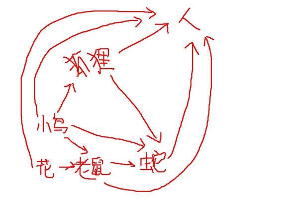 以伊犁田鼠为宠物的养殖方法