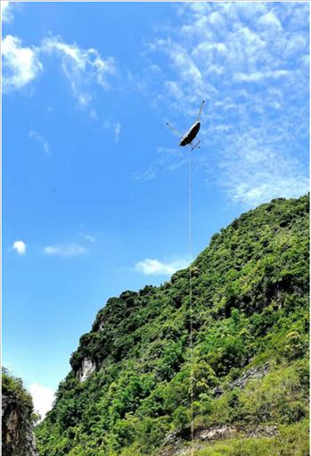 驼峰吊的饲养之道（宠物饲养必读，驼峰吊养护全解析！）