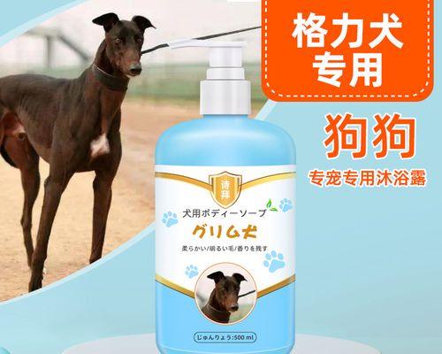 灵缇犬洗澡的正确方式（掌握宠物洗澡技巧，让灵缇犬健康洁净）