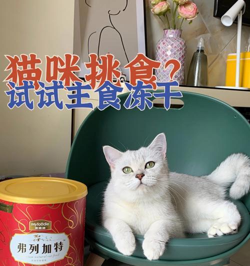 猫狗挑食解决方法（为宠物的健康着想，培养正确饮食习惯）