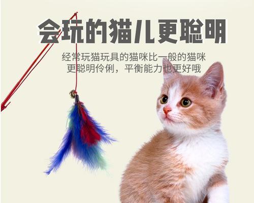 猫玩具购买指南（宠物猫的好伴侣——如何选择适合的玩具）