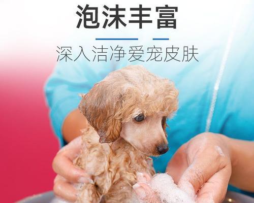 如何正确给幼犬洗澡？（宠物护理必须知道的细节，“幼犬洗澡”。）