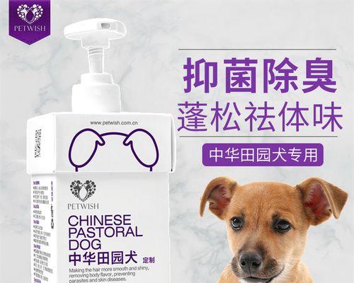 如何正确给幼犬洗澡？（宠物护理必须知道的细节，“幼犬洗澡”。）