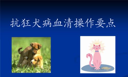 宠物狂犬病的防治措施（如何保护宠物和人类免受狂犬病侵害）