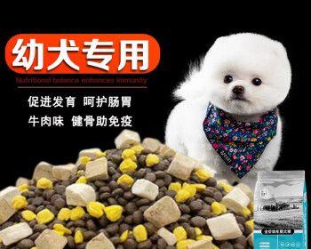 如何科学给幼犬断奶（宠物养护必备，营养合理安排关键）