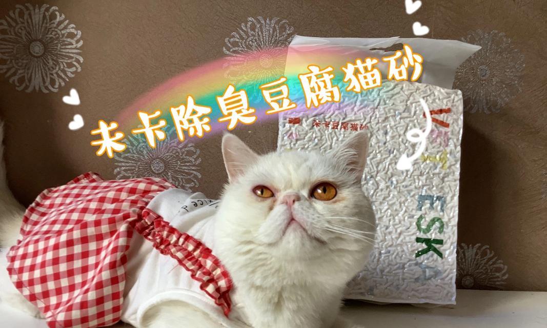 猫猫误食猫砂该如何处理（以宠物为主，保障猫咪健康的小技巧）