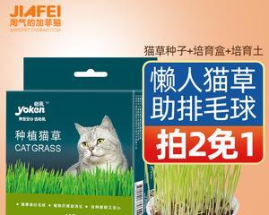 猫草的神奇作用（从增进消化到缓解压力，猫草真的能够帮助你的猫！）