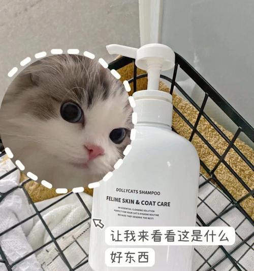 让猫咪洗个舒爽澡，必备这些物品！（为了宠物的健康和舒适，这些物品一定要准备好）