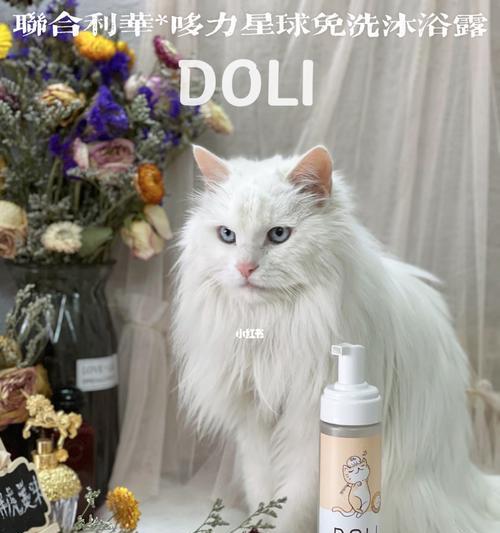 让猫咪洗个舒爽澡，必备这些物品！（为了宠物的健康和舒适，这些物品一定要准备好）