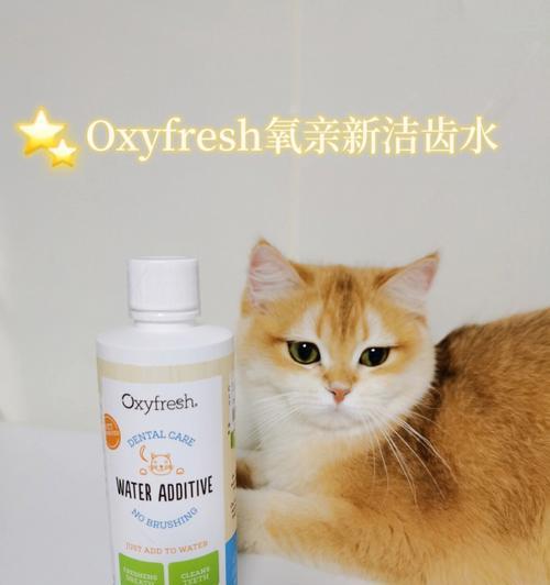 猫咪口臭的原因及解决方法（探究猫咪口臭背后的原因，为你的宠物呵护健康）