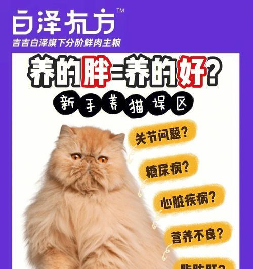 如何判断大丹犬是否过胖？（以宠物为主，为大丹犬的健康着想）