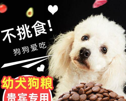 日本尖嘴犬饮食指南（以宠物为主，了解你的日本尖嘴犬该吃什么）