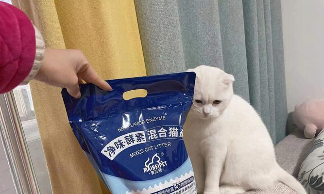 如何训练猫咪用猫砂？（掌握正确方法，让猫咪远离随地大小便！）