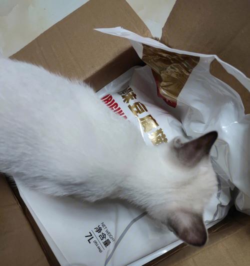 如何训练猫咪用猫砂？（掌握正确方法，让猫咪远离随地大小便！）