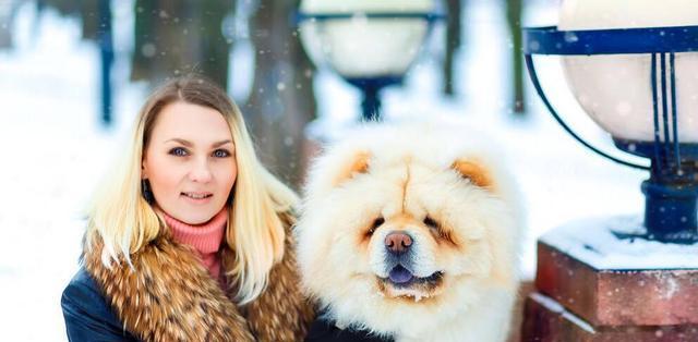 夏日里，如何为你的松狮犬做好护理（关注凉爽饮食和适时清洁，助你的松狮犬享受美好夏季）