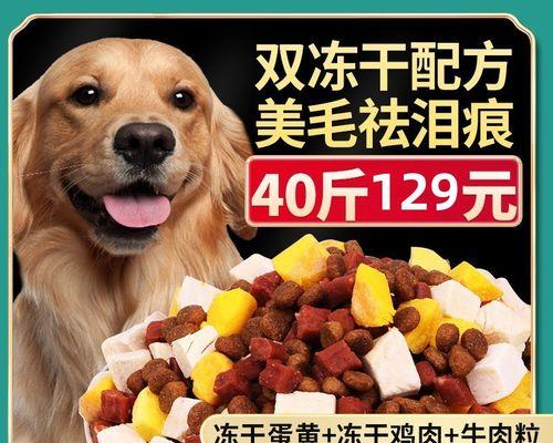 金毛犬过量补钙的危害（为什么不能过量补钙，如何正确补钙）