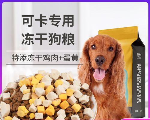 如何用营养食物美化你的可卡犬的毛发（15种可以美毛的食物，让你的可卡犬焕发出自然的光彩）