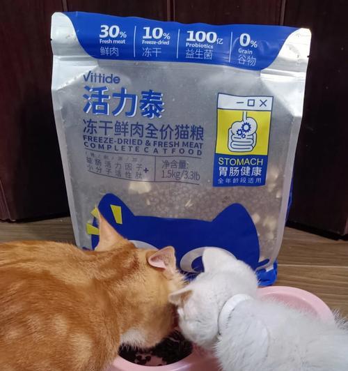 两个月的小猫能否食用猫粮？