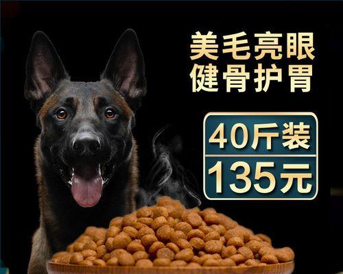 宠物马犬缺钙的症状与预防方法（了解如何帮助马犬避免缺钙，让它们健康快乐成长）