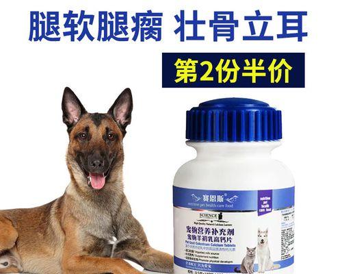 宠物马犬缺钙的症状与预防方法（了解如何帮助马犬避免缺钙，让它们健康快乐成长）