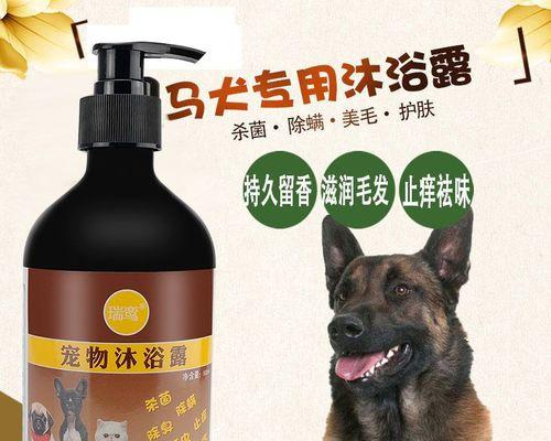 如何避免宠物感冒？（以马犬洗澡感冒了怎么办？——预防和治疗宠物感冒的方法）