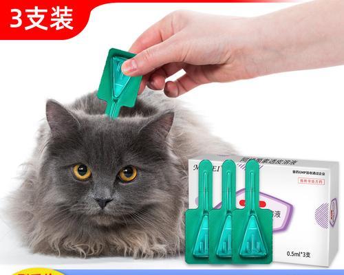 如何正确给宠物猫咪进行体外驱虫？