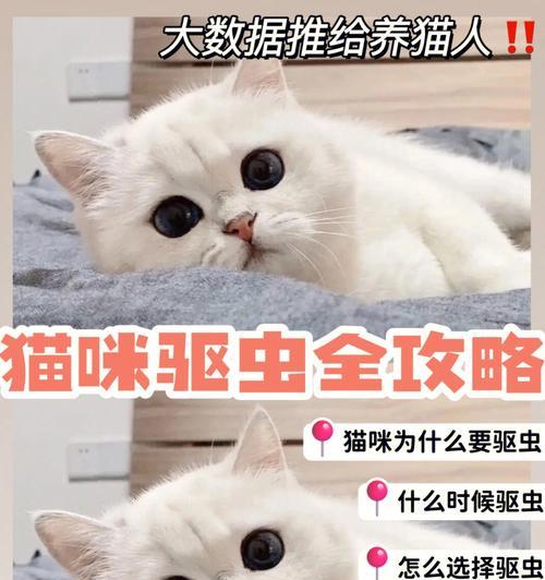 猫咪驱虫时间表，让你的爱猫远离寄生虫侵害（如何科学合理地制定猫咪驱虫计划，让爱猫健康成长）