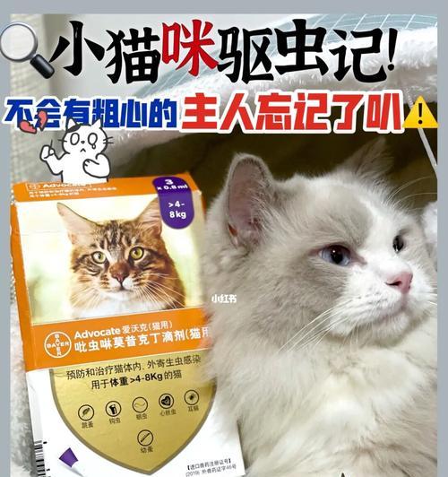 猫咪驱虫时间表，让你的爱猫远离寄生虫侵害（如何科学合理地制定猫咪驱虫计划，让爱猫健康成长）