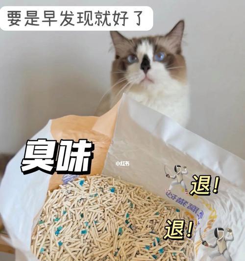 如何消除宠物猫咪带来的异味？（有效的减轻猫咪异味的方法）