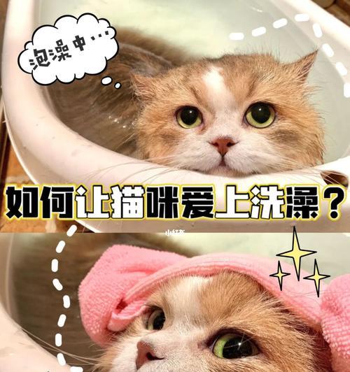 让宠物猫咪洗澡变得简单易行的方法（家里的小萌猫也能享受清爽洗澡！）