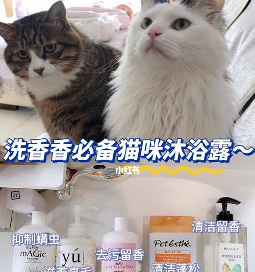 如何为宠物猫咪洗澡？（简单流程教你轻松完成/省钱又省心的宠物照顾方法）