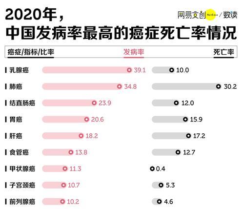 宠物爱犬生命的守护——干狗粮致命杀手（了解干狗粮对狗宝宝的危害，从饲养健康的角度出发）