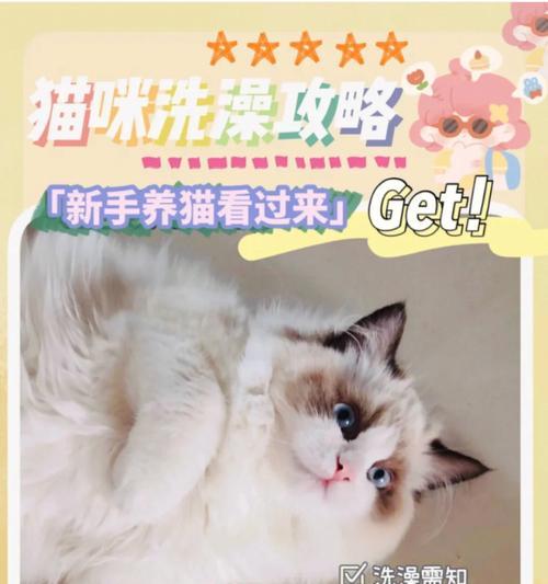 猫咪洗澡须知（宠物猫洗澡的正确方式及注意事项）