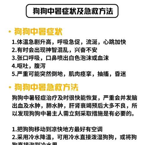 夏季宠物狗狗中暑的急救措施（宠物狗狗中暑的症状、急救步骤和预防措施）