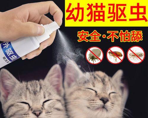 小猫什么时候可以开始打驱虫药？（宠物养护中的必备知识）