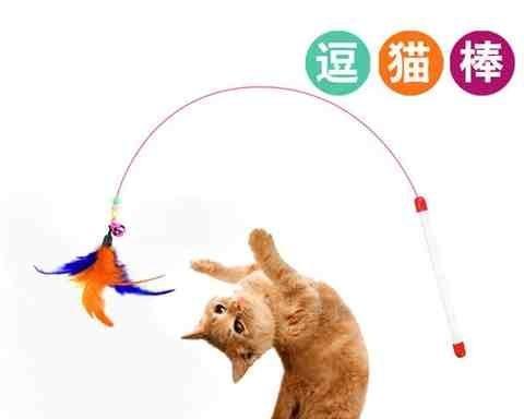 小猫咪的铃铛世界（以宠物为主，探寻宠物世界中的铃铛）