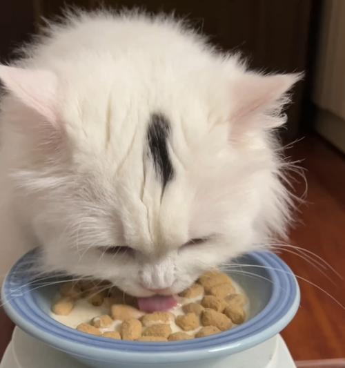 猫咪喝奶到底喝到多大？（了解宠物猫咪的饮食需求）