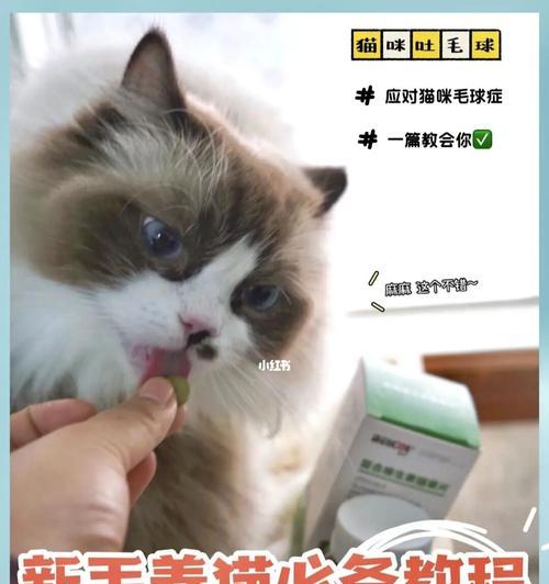 宠物健康（猫咪毛球症的危害及预防措施）