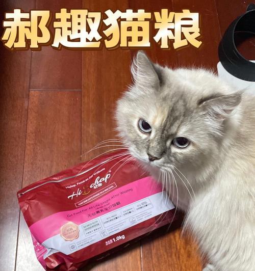 猫咪便便湿臭原因及解决方法（宠物护理必知，遇到湿臭便便怎么办？）