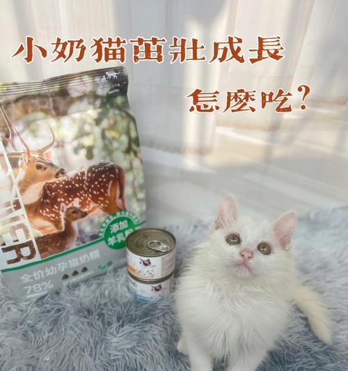 猫咪奶粉的喂养指南（如何正确冲泡猫咪奶粉，喂养萌宠成长）