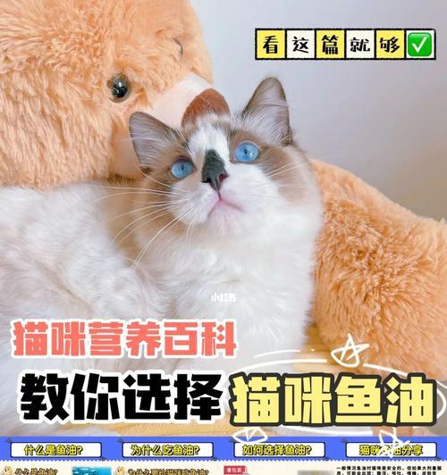 营养需求是猫咪健康的基石（全面了解猫咪每日营养需求，宠物健康无忧）