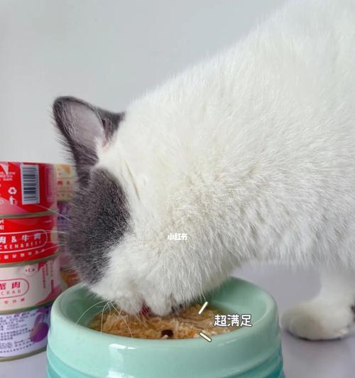 营养需求是猫咪健康的基石（全面了解猫咪每日营养需求，宠物健康无忧）