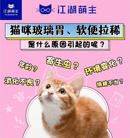 猫咪饮食正常但是拉稀，怎么办？（宠物健康贴士）