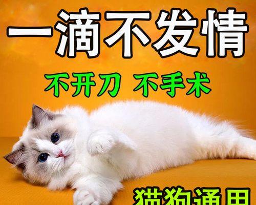 猫咪避孕药，真的有用吗？（探究猫咪避孕药的效果和安全性，让宠物更健康）