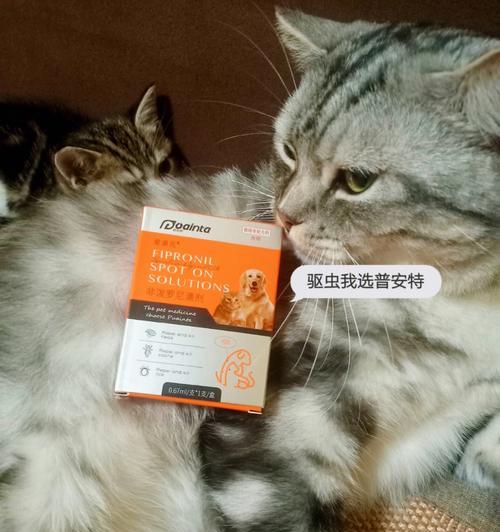 宠物猫驱虫频率（猫咪健康的关键，定期驱虫必不可少）