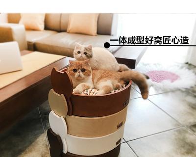 小猫新买的猫窝不住，该怎么办？（探究猫咪拒绝猫窝的原因和解决方法）