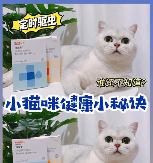 小猫驱虫的正确方法（以宠物为主，避免不必要的风险）