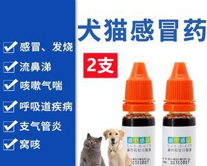 治疗狗咳嗽流鼻涕的药物（为您的爱宠找到最适合的治疗方法）