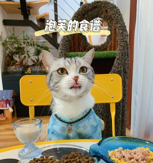 猫咪为何不爱吃新猫粮（幼猫吃什么猫粮好？如何帮助猫咪适应新猫粮？）